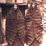 Click para ampliar. OCHAGAVIA